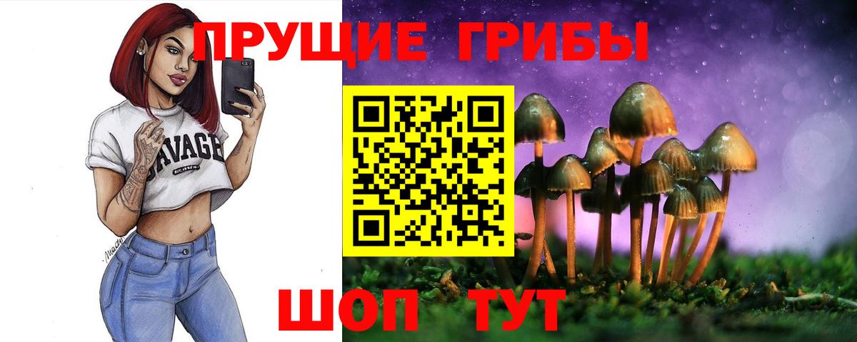 Псилоцибиновые грибы Magic Shrooms Горно-Алтайск