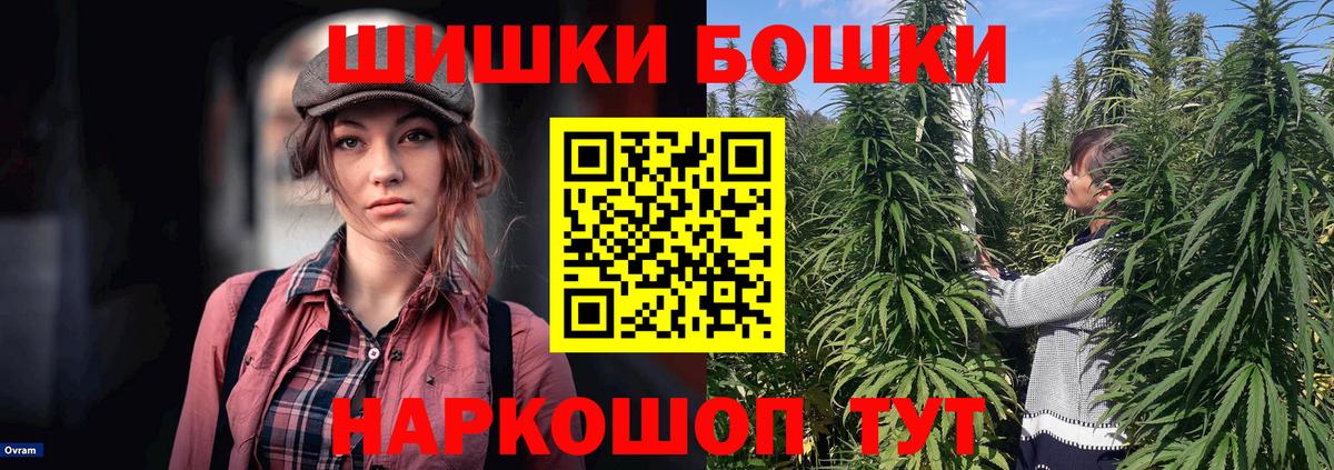 Конопля тримм  Вход с VPN  Горно-Алтайск  Бошки марихуана конопля  Бошки марихуана план 